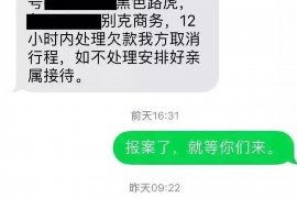 阜新如何避免债务纠纷？专业追讨公司教您应对之策